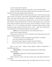 Tarptautinės pinigų sistemos raida 6 puslapis