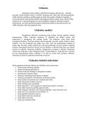 Programavimas C++. Mokyklos duomenų bazės administravimas 2 puslapis