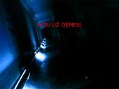 Jungtinės Amerikos Valstijos (JAV) ir Rusija 14 puslapis