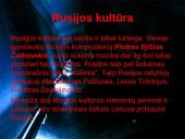 Jungtinės Amerikos Valstijos (JAV) ir Rusija 8 puslapis