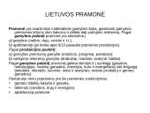 Pramonė Lietuvoje 2 puslapis
