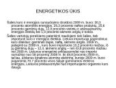 Pramonė Lietuvoje 12 puslapis