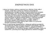 Pramonė Lietuvoje 13 puslapis