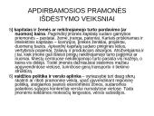 Pramonė Lietuvoje 15 puslapis