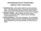 Pramonė Lietuvoje 16 puslapis