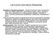 Pramonė Lietuvoje 4 puslapis