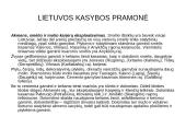 Pramonė Lietuvoje 5 puslapis