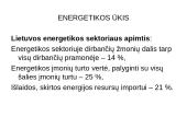 Pramonė Lietuvoje 9 puslapis