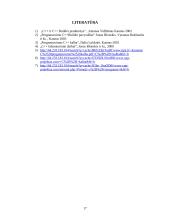 C++ kalbos mokomoji kompiuterinė programa 16 puslapis