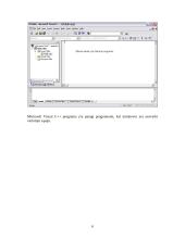 C++ kalbos mokomoji kompiuterinė programa 5 puslapis