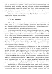 Fiziniai ir juridiniai asmenys kaip civilinės teisės subjektai 6 puslapis