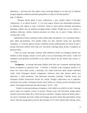 Platono valstybė kaip idėja 6 puslapis