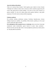 Vaikų agresijos. Jų priežastys. Prevencija 11 puslapis