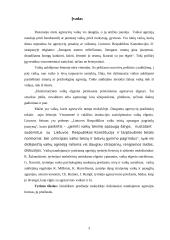 Vaikų agresijos. Jų priežastys. Prevencija 3 puslapis