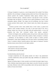 Vaikų agresijos. Jų priežastys. Prevencija 4 puslapis