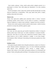 Vaikų agresijos. Jų priežastys. Prevencija 10 puslapis