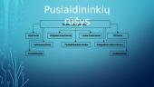 Puslaidininkai prietaisai skaidrės 4 puslapis