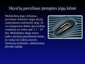 Skysčio paviršiaus įtempis 7 puslapis