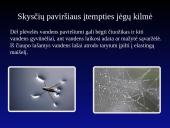 Skysčio paviršiaus įtempis 8 puslapis