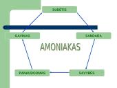 PRISTATYMAS APIE AMONIAKĄ 2 puslapis