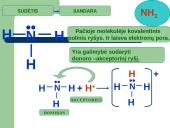 PRISTATYMAS APIE AMONIAKĄ 4 puslapis