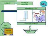 PRISTATYMAS APIE AMONIAKĄ 5 puslapis