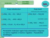 PRISTATYMAS APIE AMONIAKĄ 6 puslapis