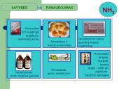 PRISTATYMAS APIE AMONIAKĄ 7 puslapis