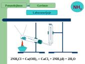 PRISTATYMAS APIE AMONIAKĄ 8 puslapis