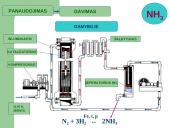 PRISTATYMAS APIE AMONIAKĄ 9 puslapis