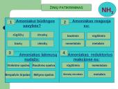 PRISTATYMAS APIE AMONIAKĄ 10 puslapis