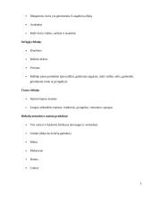 Cheminiai elementai maisto produktuose 5 puslapis