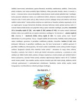 Cheminiai elementai maisto produktuose 8 puslapis