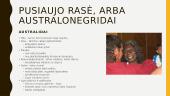Rasės (prezentacija) 11 puslapis