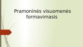 Pramoninės visuomenės formavimasis 1 puslapis