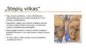 Hermano Hesės pristatymas 6 puslapis
