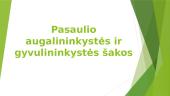 Pasaulio augalininkystės ir gyvulininkystės šakos