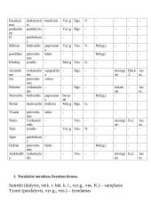 Morfologijos pratybos 2 puslapis