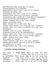 Morfologijos pratybos 3 puslapis