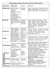 Morfologinis Nagrinėjimas 1 puslapis