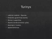 Kasdieninis gyvenimas nepriklausomoje Lietuvoje 2 puslapis