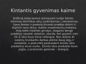 Kasdieninis gyvenimas nepriklausomoje Lietuvoje 4 puslapis