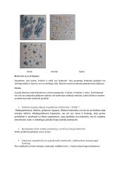 Krakmolo grūdelių dažymas ir mikroskopavimas 2 puslapis