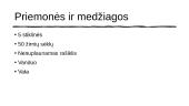 Sėklų dygimo priklausomybė nuo temperatūros ir drėgmės + klausimai ir atsakymai  3 puslapis