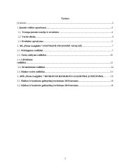 Pieno žvaigždės finansinė analizė 2 puslapis