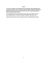 Pieno žvaigždės finansinė analizė 16 puslapis