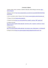 Pieno žvaigždės finansinė analizė 17 puslapis