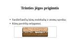 Trinties jėga ir jos rūšys 4 puslapis