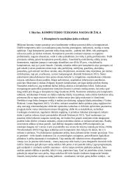 Kompiuterio įtaka kiekvieno iš mūsų sveikatai 3 puslapis