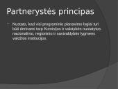 Pristatymas apie vietos savivaldą 12 puslapis